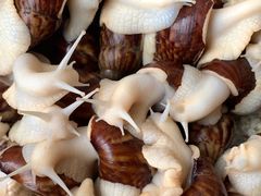 -江杨农产品批发市场