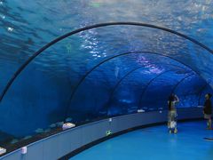 -泉城欧乐堡海洋极地世界