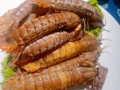 -旺角小渔村·海肠捞饭开创者(环山路店)