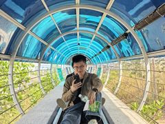 -盈香心动乐园