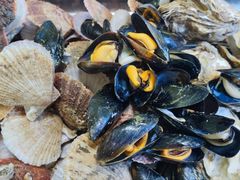 -宾朋海鲜饭庄(兴海路店)