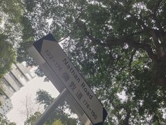 -利强记北角鸡蛋仔(弥敦道店 )