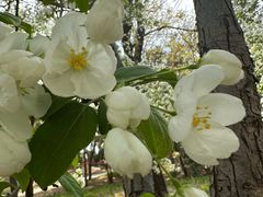 -元大都城垣遗址公园