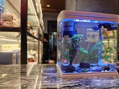 -金鸭季·北京烤鸭(深业上城店)