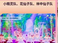 -小荧星艺校(大宁分校)