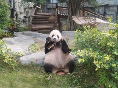 -泉州海丝野生动物世界