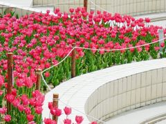 -朝阳公园