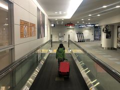 -中部国际机场