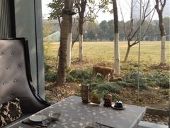 用餐环境-山水雅居·江南雅宴(运河公园店)