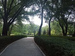 -青城公园