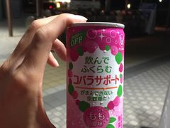 -肉のハナマサ(銀座店)