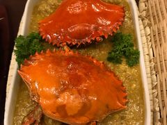 -茉莉.Red Crab
