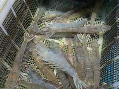 -吉友粥底火锅(方斜路店)