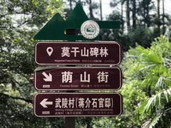 -莫干山风景区