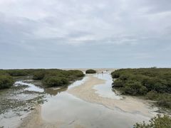 -北海金海湾红树林生态旅游区
