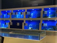 水产区-大理实力希尔顿酒店御璽中餐厅YUXI – CHINESE RESTAURANT