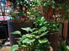 -老客家·客家菜(万达店)