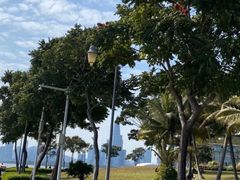 -深圳湾公园(南山区)