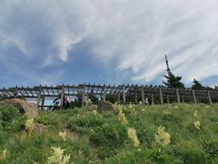 -白草畔自然风景区