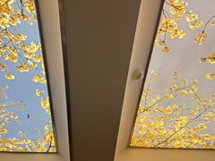 -西湖春天(中州店)