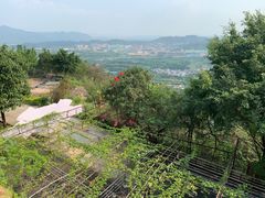 -黄腾峡天门悬廊