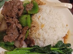 豉椒牛肉饭-顺记冰室(宝华路店)