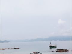 -杨梅坑