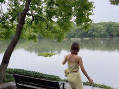 -西湖游船
