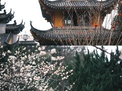 -五祖寺