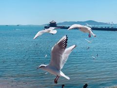-老味道民宿(栈桥店)