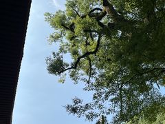 -浙江省博物馆(孤山馆区)