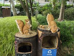 -华山儿童公园