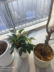 -HEYAN荷妍专业脱毛连锁机构