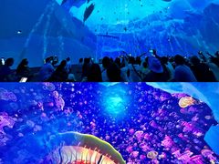 -海合安青岛极地海洋公园