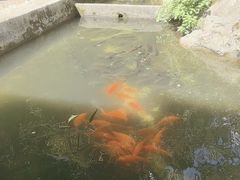 -途中饭店(开化店)