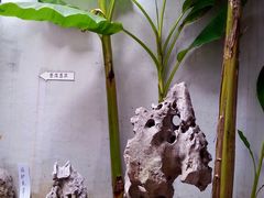 -李香君故居陈列馆