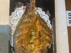 -九府羊·鲜羊火锅·烤串(新华路店)