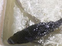 -珠光市场(文德南路)