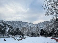 -北京凤凰岭