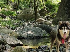-云岫谷游猎自然风景区