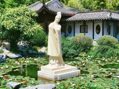 -溱湖国家湿地公园