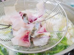 脆鲩鱼片-中山脆肉鲩(新圳东路店)