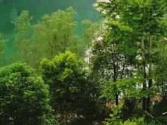 -乌江画廊(彭水苗族土家族自治县)