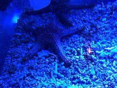 -波塞冬旅游度假区