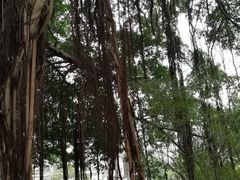 -乌山风景区
