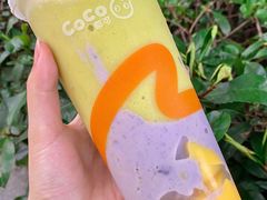 -CoCo都可(丁家庄店)
