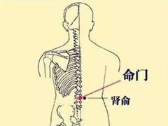 -裕和堂中医推拿艾灸(太古汇臻品店)