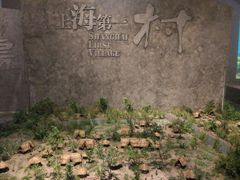 -上海崧泽遗址博物馆