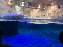 -鄂尔多斯野生动物园