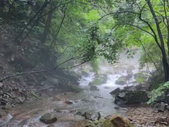 -本溪汤沟绿石谷森林公园